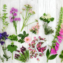 Load image into Gallery viewer, Sample Packs